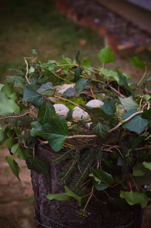 bird feeder made from plants and twigs with animal bird foodの写真素材