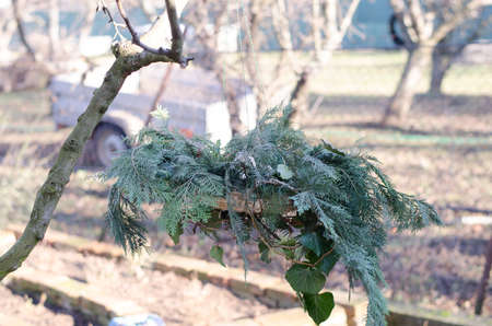 bird feeder made from plants and twigs with animal bird foodの写真素材