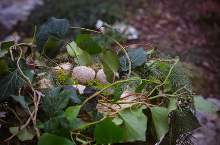 bird feeder made from plants and twigs with animal bird foodの写真素材