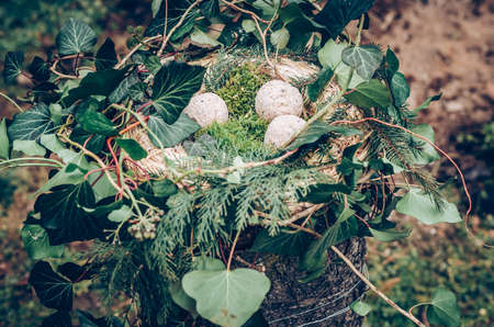 bird feeder made from plants and twigs with animal bird foodの写真素材