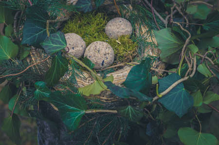 bird feeder made from plants and twigs with animal bird foodの写真素材