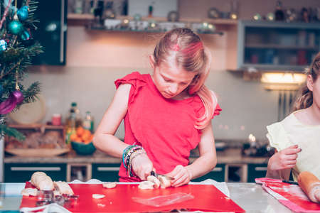cookies and bell cooking shapes in christmas atmosphereの写真素材