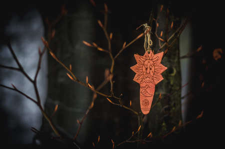dramatic sign of sun and star in woodlandの写真素材
