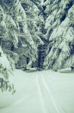 two beautiful girl having fun with snowman in winter forestの写真素材