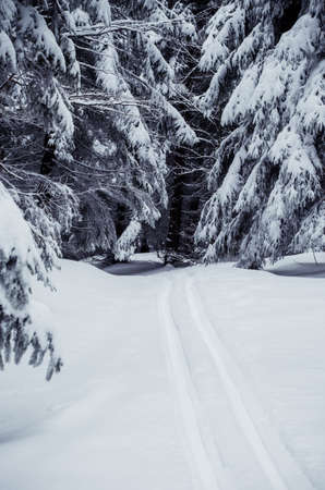 two beautiful girl having fun with snowman in winter forestの写真素材