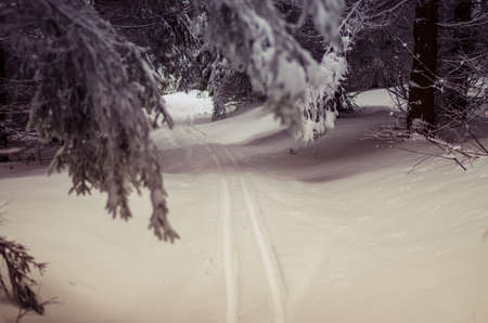 winter time full of winter sports and adrenalineの写真素材