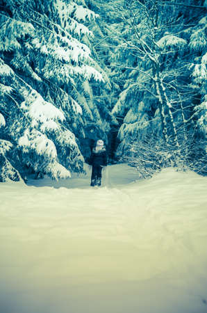 trees covered by snow in winter magic atmosphereの写真素材