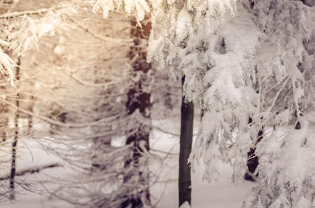winter time full of winter sports and adrenaline