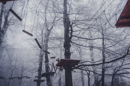 empty adrenaline rope playground in tree trunks in foggy and misty winter forestの写真素材