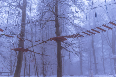 empty adrenaline rope playground in tree trunks in foggy and misty winter forest