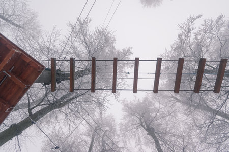empty adrenaline rope playground in tree trunks in foggy and misty winter forestの写真素材
