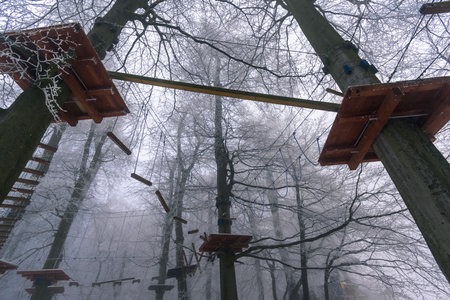 empty adrenaline rope playground in tree trunks in foggy and misty winter forestの写真素材