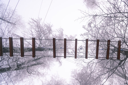 empty adrenaline rope playground in tree trunks in foggy and misty winter forestの写真素材