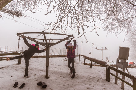 empty adrenaline rope playground in tree trunks in foggy and misty winter forestの写真素材