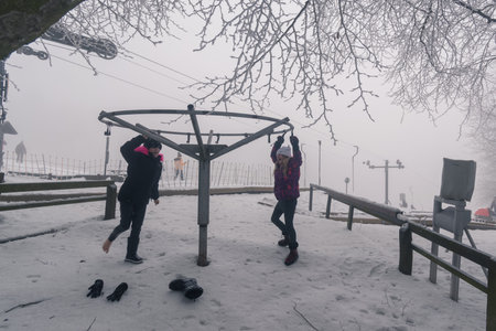 empty adrenaline rope playground in tree trunks in foggy and misty winter forestの写真素材