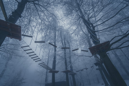 empty adrenaline rope playground in tree trunks in foggy and misty winter forestの写真素材