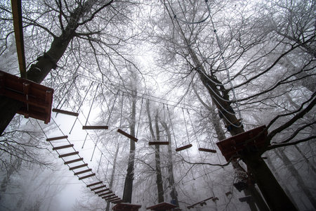 empty adrenaline rope playground in tree trunks in foggy and misty winter forestの写真素材