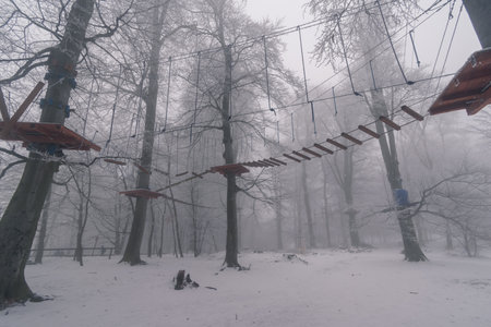 empty adrenaline rope playground in tree trunks in foggy and misty winter forestの写真素材