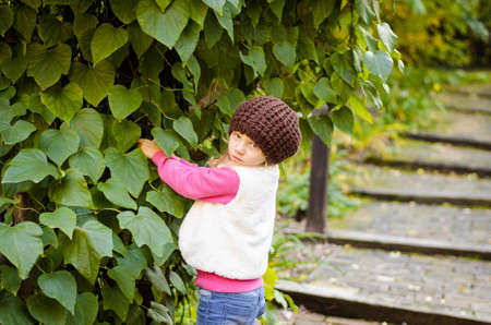 portrait of smiling girl in colorful autumnal atmosphereの写真素材