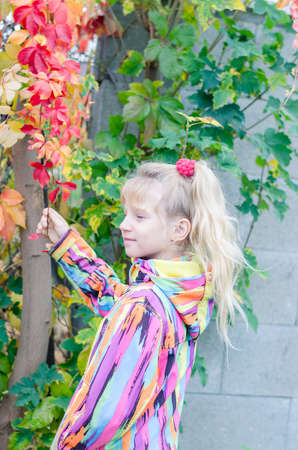 adorable blond girl in colorful jacket enjoying color of autumnal leavesの写真素材