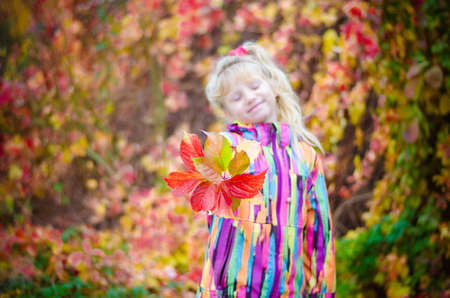 adorable blond girl in colorful jacket enjoying color of autumnal leavesの写真素材