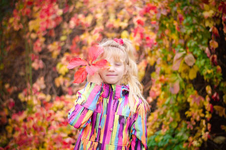 adorable blond girl in colorful jacket enjoying color of autumnal leavesの写真素材