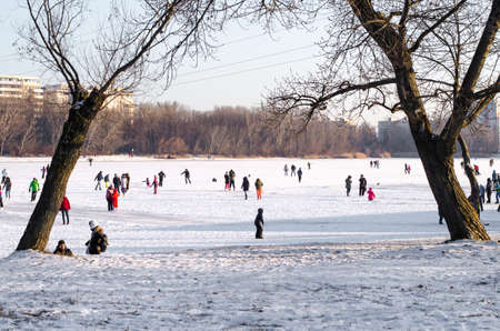 beautiful white swan and duck on frozen pond in winter timeの写真素材