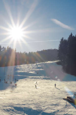 beautiful white swan and duck on frozen pond in winter timeの写真素材