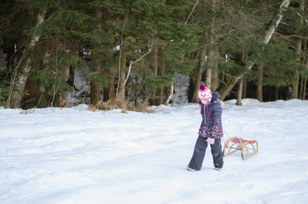 little lovely girl walking with sledge in winter forestの写真素材