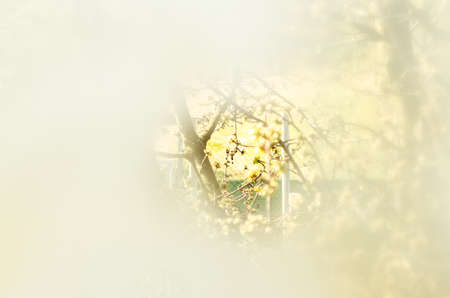 one burning candle concept with shining bokeh glittering ligts on christmas tree on dark backgroundの写真素材
