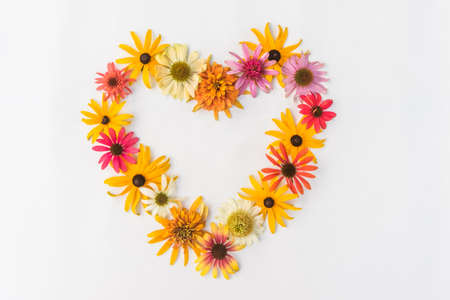 tiny yellow and pink cornflowers backgroundの写真素材