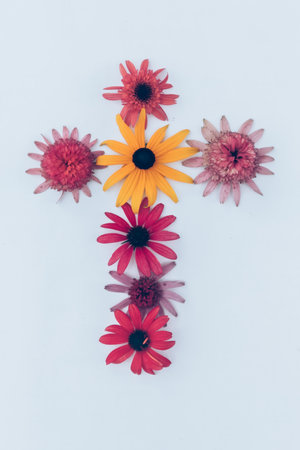tiny yellow and pink cornflowers backgroundの写真素材