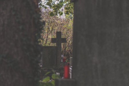 burning candle and chrysanthemum flower decoration on grave in the cemeteryの写真素材
