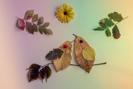 romantic woman face with natural hair made from colorful leaves and bright flowers on white backgroundの写真素材