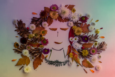 cat made from vivid autumnal leaves and flowers, isolated on white backgroundの写真素材