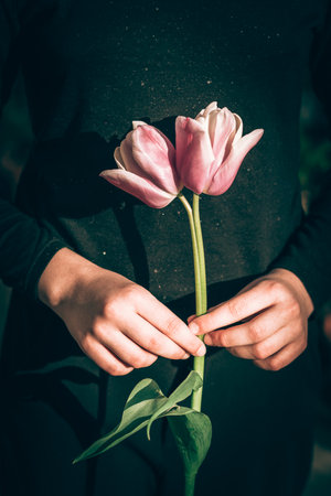 two head tulip, strange, extraordinary in handsの写真素材