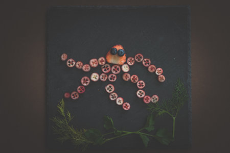 octopus made from red frutis on black backgroundの写真素材