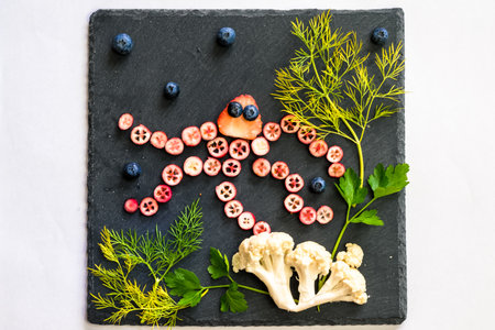 octopus made from red fruits with sea world from cauliflower and green herbs on black backgroundの写真素材