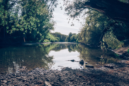 still water in the river, romantic bay with green trees aroundの写真素材