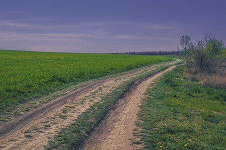 spring nature in rural countrysideの写真素材