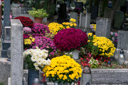 graves decorated with lanterns, burning candles, colorful chrysanthemum flowers, catholic symbolsの写真素材