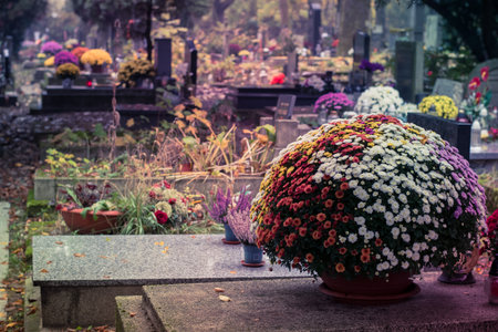 graves decorated with lanterns, burning candles, colorful chrysanthemum flowers, catholic symbolsの写真素材