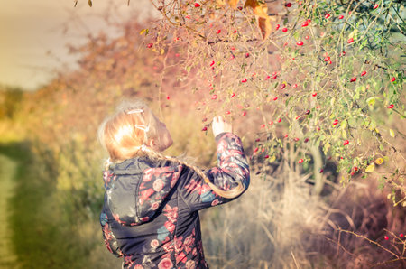 colorful magic autumn and its treasures