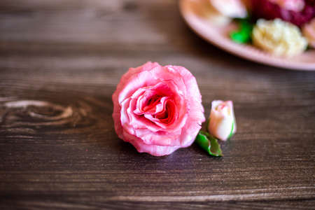 Chocolate pink rose on a brown wooden background.の写真素材