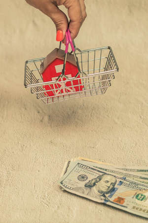 Concept of buying a house, In a small shopping basket red houseの写真素材