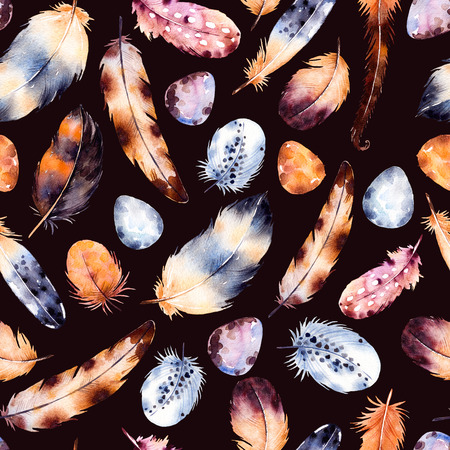Watercolor feathers set.Hand drawn illustration with colorful feathers and eggs.Seamless Pattern with hand drawn feather.Feather isolated on dark background. Perfect for print, wallpaper, greeting cardの写真素材