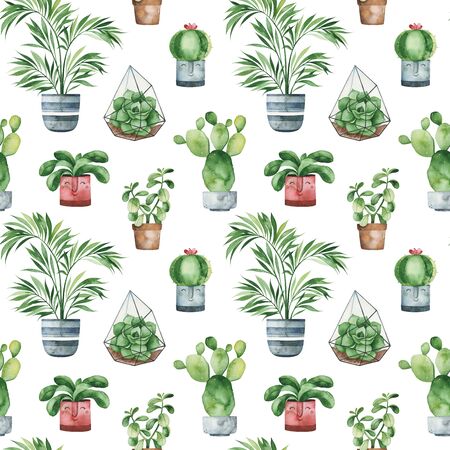 Watercolor potted plants texture.Fresh seamless background.Perfect for your project, print, wallpaper, print, gift paper, wedding, greeting, invitations, wall artsの写真素材