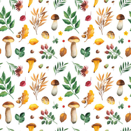 Watercolor Autumn pattern with leaves, berries, branches, nuts, acorns, flowers, mushrooms and more. Perfect for wallpapers, baby shower, children prints or room decor, template cards, cover, packaging papersの写真素材
