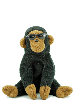 monkey with sunglasses