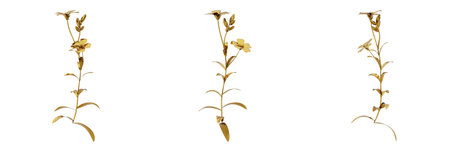 With our amazing 3D render gold plant graphics, you can add a touch of luxury to your projects. The perfect way to give a classy, warm touch to any project.の写真素材